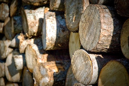 Timber